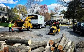 Best Seasonal Cleanup (Spring/Fall)  in Bartow, FL