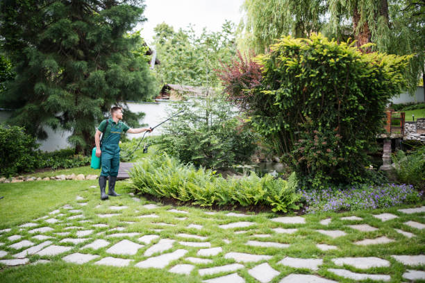 Best Arborist Consultation Services  in Bartow, FL