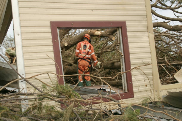 How Our Tree Care Process Works  in  Bartow, FL